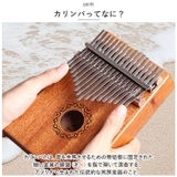 カリンバ 17キー pmyca06 | BACKYARD FAMILY | 詳細画像3 