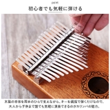 カリンバ 17キー pmyca06 | BACKYARD FAMILY | 詳細画像4 