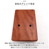 カリンバ 17キー pmyca08 | BACKYARD FAMILY | 詳細画像7 