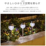 クリスタルソーラーライト | BACKYARD FAMILY | 詳細画像9