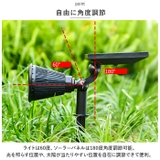 スポット型 ガーデンライト pmyrs865 | BACKYARD FAMILY | 詳細画像7