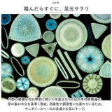 soil ソイル BATH MAT AQUA | BACKYARD FAMILY | 詳細画像4