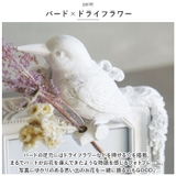 BRESKORD ウェルカムバードフレーム | BACKYARD FAMILY | 詳細画像4 