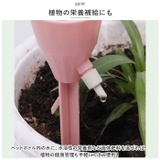 水やり kgoods51 | BACKYARD FAMILY | 詳細画像7 