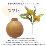 光触媒 インテリアグリーン WDポット ラウンド | BACKYARD FAMILY | 詳細画像3 