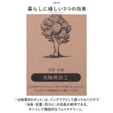 光触媒 インテリアグリーン WDポット ラウンド | BACKYARD FAMILY | 詳細画像4 