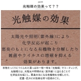 光触媒 インテリアグリーン WDポット ラウンド | BACKYARD FAMILY | 詳細画像5 