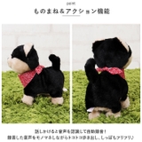 まねまねトコトコ シリーズ | BACKYARD FAMILY | 詳細画像3 