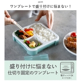 フードマン 抗菌 薄型弁当箱 500ml | BACKYARD FAMILY | 詳細画像6