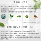 マリエラン 洗顔フォーム 泡洗顔 肌荒れ 黒ずみ 150ml | BACKYARD FAMILY | 詳細画像4