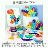 型はめパズル 立体パズル 2点セット ykyibao7087s2 | BACKYARD FAMILY | 詳細画像3