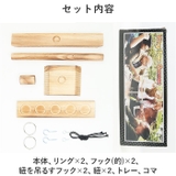 フックとリングトステールゲーム pmygame03 | BACKYARD FAMILY | 詳細画像6 