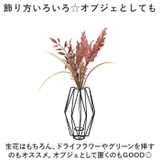 ワイヤーベース | BACKYARD FAMILY | 詳細画像8