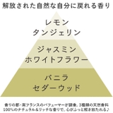 TOLEWA フレグランスペブル | BACKYARD FAMILY | 詳細画像5