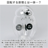 ラジオメーター | BACKYARD FAMILY | 詳細画像5 