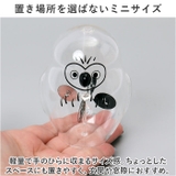 ラジオメーター | BACKYARD FAMILY | 詳細画像7 