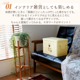 フェール ファーストエイドボックスL HO-502 | BACKYARD FAMILY | 詳細画像3 