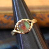 イグアナ | BACKYARD FAMILY | 詳細画像3 