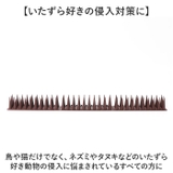 鳥よけ 自由カット kgoods83 | BACKYARD FAMILY | 詳細画像6 