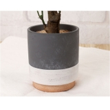 光触媒 CMポット | BACKYARD FAMILY | 詳細画像10 