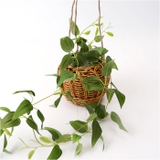 光触媒 ハンギングバスケット | BACKYARD FAMILY | 詳細画像14 