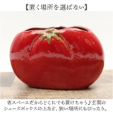 セボンマルシェ クイスティ 蚊遣り 縦型 | BACKYARD FAMILY | 詳細画像5