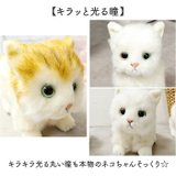 日本製 リアルキャット Sサイズ | BACKYARD FAMILY | 詳細画像4