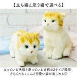 日本製 リアルキャット Sサイズ | BACKYARD FAMILY | 詳細画像5