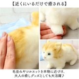 日本製 リアルキャット Sサイズ | BACKYARD FAMILY | 詳細画像7