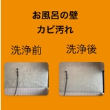 カビ取りキング | BACKYARD FAMILY | 詳細画像7 