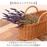 ラベンダーブッシュ | BACKYARD FAMILY | 詳細画像7