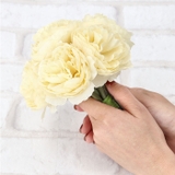 パフィーラナンキュラスブーケ | BACKYARD FAMILY | 詳細画像9