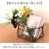 ハーブグリーンミックスバンドル | BACKYARD FAMILY | 詳細画像4