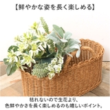 ナチュラルグリーンブーケ | BACKYARD FAMILY | 詳細画像4