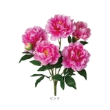 ピオニーブッシュ | BACKYARD FAMILY | 詳細画像11 