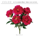 ピオニーブッシュ | BACKYARD FAMILY | 詳細画像9 