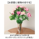 ロングローズミックスブッシュ | BACKYARD FAMILY | 詳細画像2