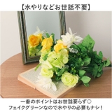 ロングローズミックスブッシュ | BACKYARD FAMILY | 詳細画像3