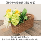 ロングローズミックスブッシュ | BACKYARD FAMILY | 詳細画像4