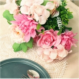 ロングローズミックスブッシュ | BACKYARD FAMILY | 詳細画像6