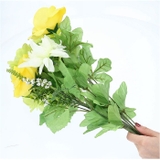 ロングローズミックスブッシュ | BACKYARD FAMILY | 詳細画像7