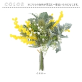 ミモザミックスバンドル | BACKYARD FAMILY | 詳細画像14 