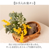 ミモザミックスバンドル | BACKYARD FAMILY | 詳細画像5 