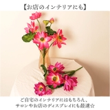 ロータスブッシュ | BACKYARD FAMILY | 詳細画像7
