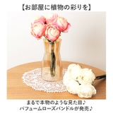 パフュームローズバンドル | BACKYARD FAMILY | 詳細画像2