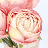 パフュームローズバンドル | BACKYARD FAMILY | 詳細画像9