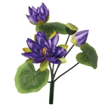 ロータスブッシュ | BACKYARD FAMILY | 詳細画像11