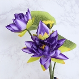 ロータスブッシュ | BACKYARD FAMILY | 詳細画像12