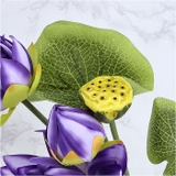 ロータスブッシュ | BACKYARD FAMILY | 詳細画像13