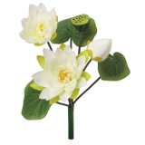 ロータスブッシュ | BACKYARD FAMILY | 詳細画像14